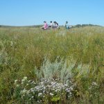 Лето пленэр